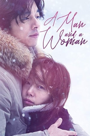 A Man and A Woman (2016) Hindi Dual Audio 400MB - Movierulz
