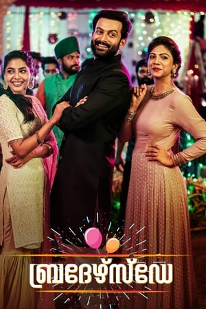 Brother’s Day (2019) (Hindi – Malayalam) Dual Audio – - Movierulz