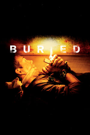Buried (2010) Hindi Dual Audio 350MB - Movierulz