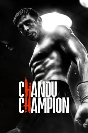 Chandu Champion 2024 Hindi – – - Movierulz