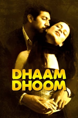Dhaam Dhoom 2008 Dual Audio [Hindi - Tamil] 430MB Download - Movierulz