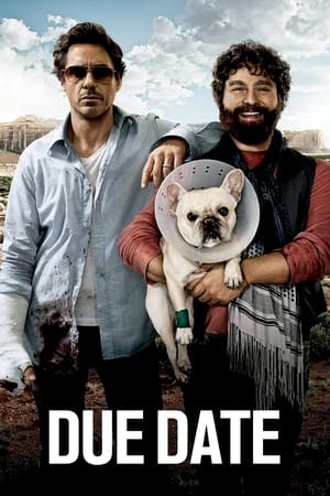 Due Date (2010) Hindi Dual Audio [850MB] - Movierulz