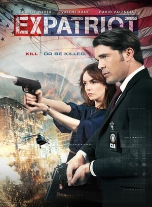 ExPatriot 2017 Hindi Dual Audio 300MB - Movierulz