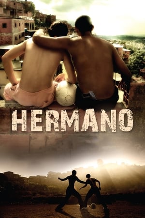 Hermano (2010) Hindi Dual Audio [1.2GB] - Movierulz