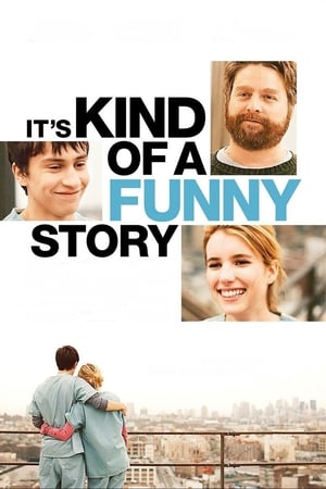 Its Kind of a Funny Story 2010 Hindi Dual Audio 330MB - Movierulz