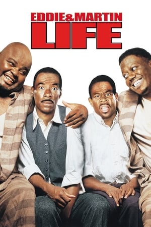 Life (1999) Hindi Dual Audio 350MB - Movierulz