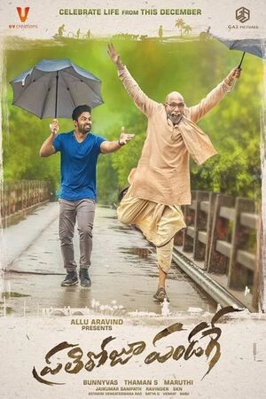 Prati Roju Pandaage 2019 Hindi Dual Audio - Movierulz