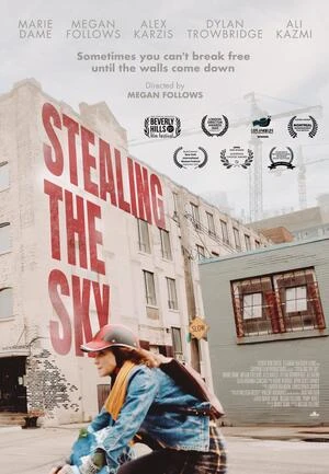 Stealing the Sky 2025 English Audio - Movierulz