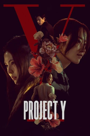 Project Y 2026 Hindi - Korean Dual Audio - Movierulz