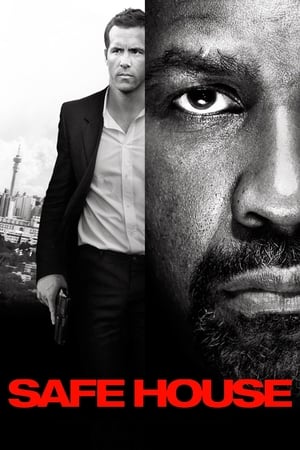 Safe House 2012 100mb Hindi Dual Audio movie Download - Movierulz