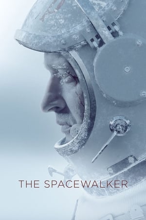Spacewalk 2017 Hindi Dual Audio – - Movierulz