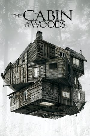 The Cabin in the Woods 2012 Dual Audio Hindi [800MB] ESubs - Movierulz