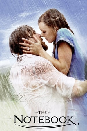 The Notebook 2004 Dual Audio Hindi Full Movie - 1GB - Movierulz