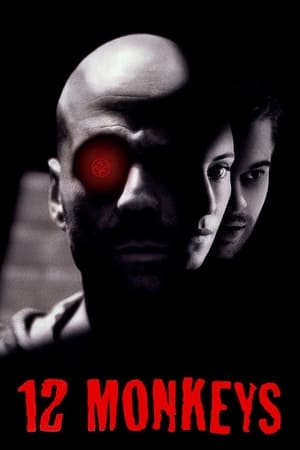 Twelve Monkeys (1995) Hindi Dual Audio Movie - 2.9GB - Movierulz